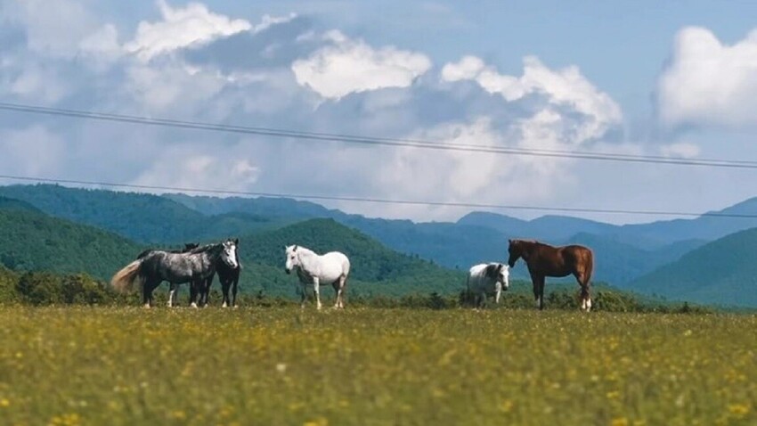 La belleza de Sajalín en los confines de Rusia Video Russia Beyond ES