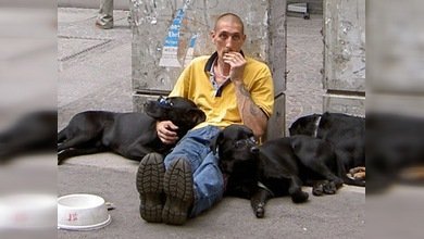 Cachorros para ingresos