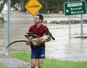Australia, bajo el agua