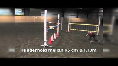 Conozca a Anna, la niña de 10 años que quiere ser un caballo