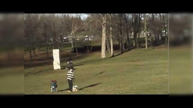 Un águila intenta cazar un niño en un parque