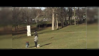 Un águila intenta cazar un niño en un parque