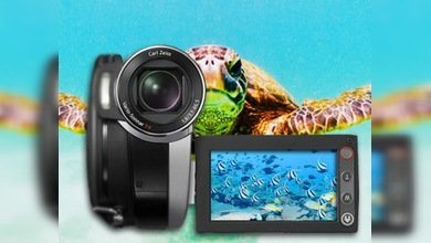 Triunfa en YouTube un gran hermano de tortugas