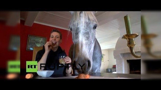 Una alemana adopta un caballo y lo aloja en su apartamento