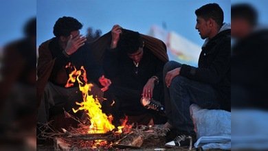 Calderón promulga una ley para proteger los derechos de los inmigrantes