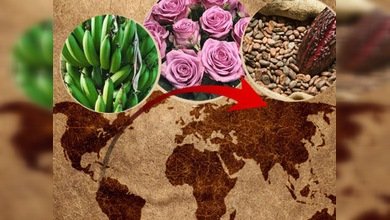  Ecuador busca nuevos mercados en Rusia