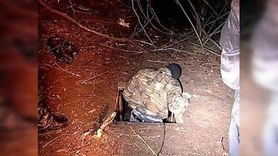 Otro grupo de extremistas abatidos en el Cáucaso del Norte