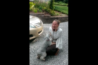 ¡Qué bueno que viniste!: Perro se desmaya al ver a su dueña tras ausencia de dos años