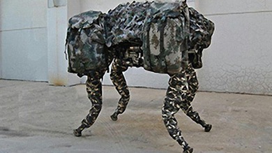 China saca a pasear a su propio perro robótico, una copia del Big Dog de EE.UU.