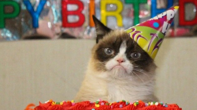 ¡Arriba esos ánimos! ¡Es el cumpleaños de 'Grumpy Cat', el gatito gruñón!