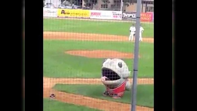 La mascota de un equipo de béisbol 'se traga' a un jugador rival