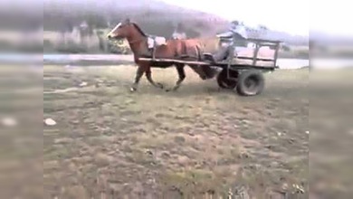 Drifting en un carro medieval