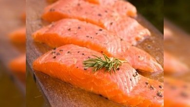 El salmón transgénico sigue en duda en EE. UU.