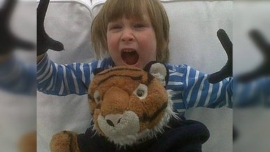 En el mundo quedan tan solo 3.200 tigres