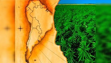 EE. UU. incluye a toda América Central en su nuevo mapa de la droga