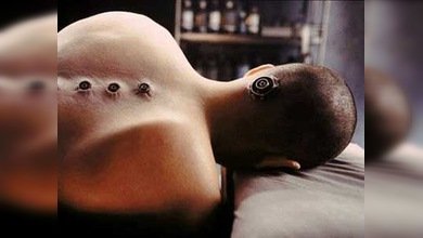 Implantes cerebrales de seda: Matrix es la realidad