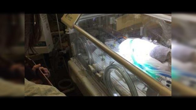 Triste video: Padre joven toca temas de Los Beatles a su hijo recién nacido antes de que muera