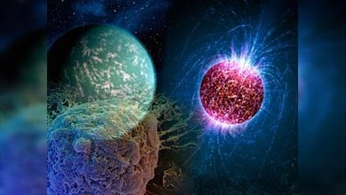 Más planetas, subpartículas y fármacos: el árbol de la ciencia extendió sus ramas en 2011