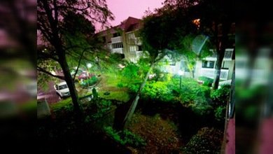 Una serie de tornados azotaron el centro sur de EE. UU.