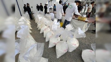 Plantaciones de coca están pasando de Colombia a Perú