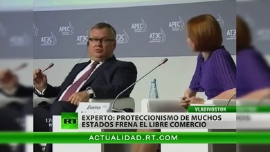 El APEC busca promover el comercio libre obstaculizado por la crisis