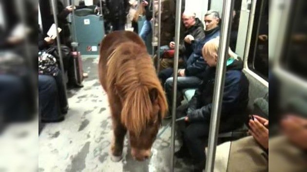 El poni se monta… en el metro
