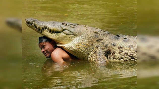 Costa Rica llora la muerte del caimán Pocho sin lágrimas de cocodrilo