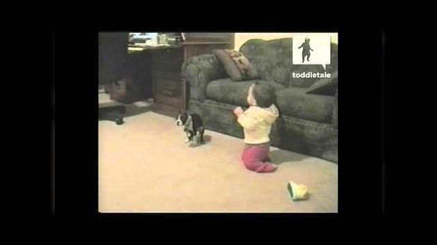 Los primeros pasos de un bebé interrumpidos por la 'sorpresita' de un perro