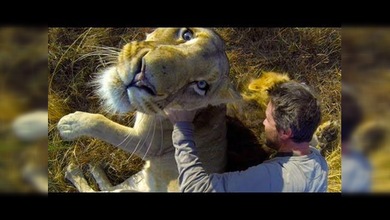 El conmovedor reencuentro del 'encantador de leones' con sus mejores amigos