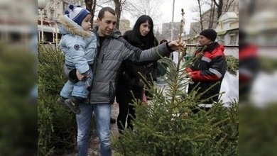 Árboles navideños artificiales, enemigos por naturaleza