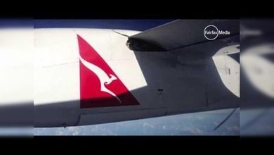 'Pasajera' de unos tres metros de largo viaja en el ala de un avión