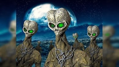 Organismos muertos alienígenas, posibles 'padres' de la vida en la Tierra