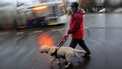 Los perros que se convierten en sus ojos