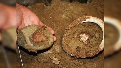 El hombre y el arte, una relación que lleva 100.000 años