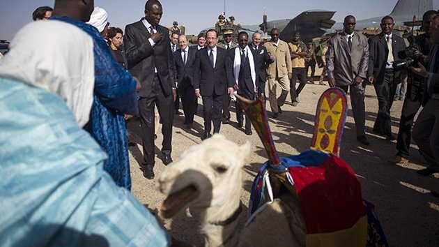 Se comen el camello que el Gobierno de Mali regaló a François Hollande