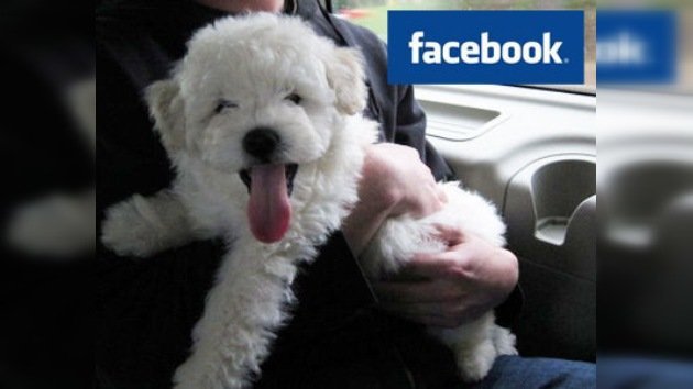 Mark Zuckerberg crea una cuenta para su mascota en Facebook