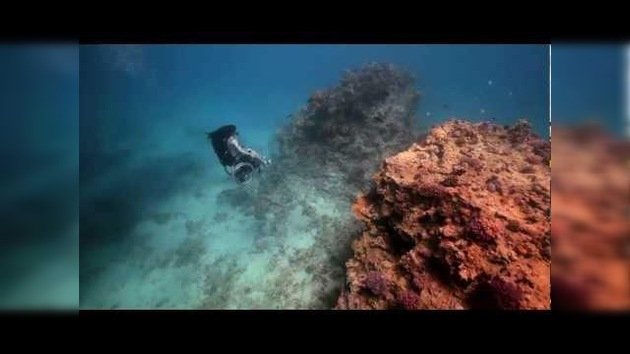 Balé subacuático en silla de ruedas: entre vuelo y buceo