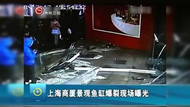 China: 15 heridos tras estallar un gran acuario con tiburones
