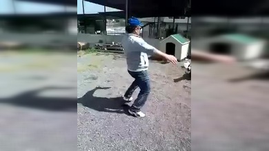 Karma instantáneo: un hombre se burla de un pitbull atado