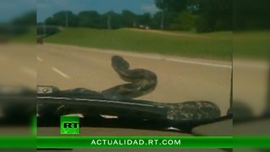 La serpiente no estaba en el paraíso, sino en el parabrisas