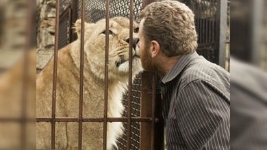 35 días viviendo enjaulado con leones en Ucrania