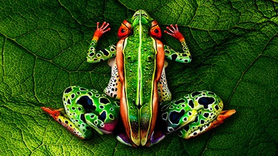 Impresionantes obras donde el cuerpo humano se utiliza como lienzo
