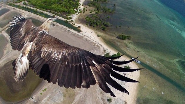 20 vistas aéreas impresionantes captadas por drones