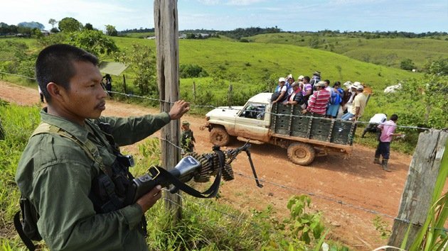 Las FARC obligan a los campesinos a sembrar marihuana