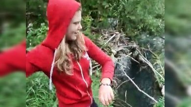 Ahogamiento de cachorros causa repudio mundial