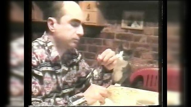 Un gato 'sordomudo' usa el lenguaje de señas para pedir comida a su dueño