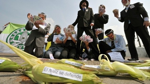Primera victoria: México suspende la siembra de maíz transgénico