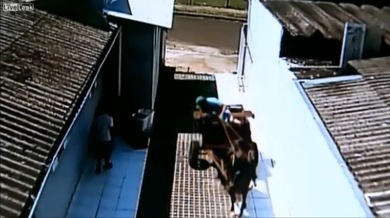 Como en el salvaje oeste: roban un cofre y huyen en una carreta
