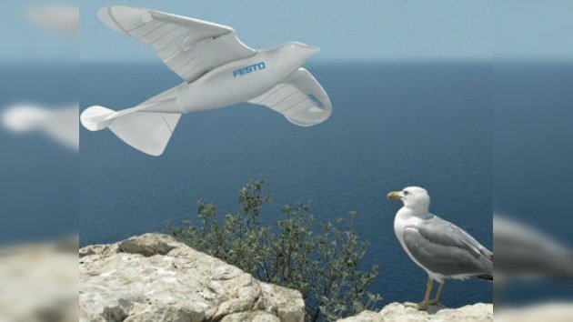 SmartBird: la gaviota robótica