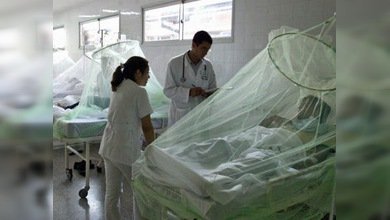 Este año 35 paraguayos murieron por el dengue